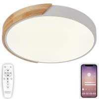 Накладные светильники — Накладной светильник Natali Kovaltseva LED LAMPS 81181 купить в  Накладные светильники — Накладной светильник Natali Kovaltseva LED LAMPS 81181 купить в