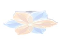 Накладные светильники — Накладной светильник Ambrella Light AK4315 купить в 