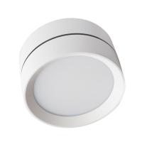 Влагозащищенные точечные светильники — Влагозащищенный светильник LeDron BARREL White купить в  Влагозащищенные точечные светильники — Влагозащищенный светильник LeDron BARREL White купить в