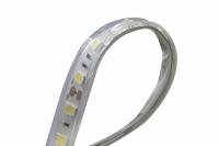 Светодиодные ленты — Лента DesignLed DSG560-24-W-65 купить в 