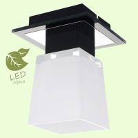 Накладные светильники — Накладной светильник Lussole GRLSC-2507-01 купить в 