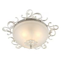 Накладные светильники — Накладной светильник Omnilux OML-76417-03 купить в 