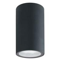 Накладные точечные светильники — Накладной светильник ARTE Lamp A3302PF-1GY купить в  Накладные точечные светильники — Накладной светильник ARTE Lamp A3302PF-1GY купить в