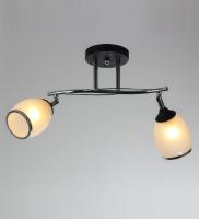 Потолочные люстры — 2673/2 анти-хром купить в 