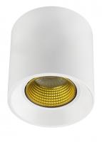 Накладные точечные светильники — Накладной светильник Denkirs DK3090-WH+YE купить в  Накладные точечные светильники — Накладной светильник Denkirs DK3090-WH+YE купить в