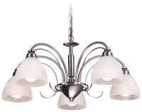 Люстры подвесные — Подвесная люстра VELANTE 353-203-05 купить в 