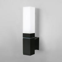 Уличные настенные светильники — Светильник настенный Elektrostandard 1534 TECHNO LED чёрный купить в 