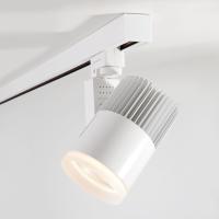 Трековые светильники — Светильник на шине Elektrostandard Accord Белый 30W 4200K (LTB43) трехфазный купить в 