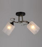 Потолочные люстры — 2649/2 темный купить в 