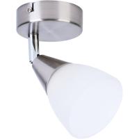 Споты — Спот TOPLIGHT TL1232Y-01SN купить в  Споты — Спот TOPLIGHT TL1232Y-01SN купить в