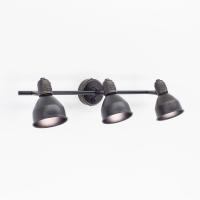 Споты — Спот Citilux CL502532 купить в 