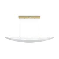 Подвесные светильники — Подвесной светильник Freya FR5441PL-L40G купить в 