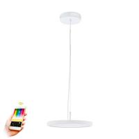 Подвесные светильники — Подвесной светильник EGLO 98605 купить в 