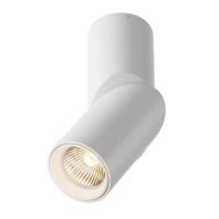 Накладные точечные светильники — Накладной светильник Maytoni Technical C027CL-L10W купить в  Накладные точечные светильники — Накладной светильник Maytoni Technical C027CL-L10W купить в