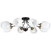 Люстры накладные — Накладная люстра ARTE Lamp A2706PL-8CK купить в  Люстры накладные — Накладная люстра ARTE Lamp A2706PL-8CK купить в