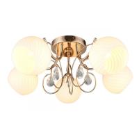 Люстры накладные — Накладная люстра Omnilux OML-25207-05 купить в 