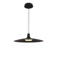 Подвесные светильники — Подвесной светильник Lightstar 737427 купить в 