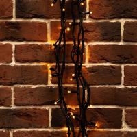 Светодиодные гирлянды — Светодиодная гирлянда Neon-Night 303-321 купить в 