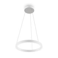 Подвесные светильники — Подвесной светильник Maytoni MOD058PL-L22WK купить в 