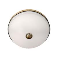 Накладные светильники — Накладной светильник MW-Light 295013402 купить в 