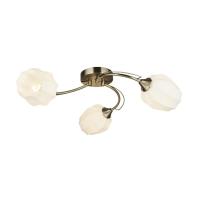 Потолочные люстры — Потолочная люстра Seven Fires Shajena 66593.01.05.03 купить в  Потолочные люстры — Потолочная люстра Seven Fires Shajena 66593.01.05.03 купить в