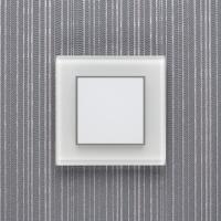 Выключатели — Выключатель Delumo O19003 купить в 