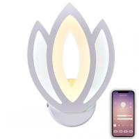 Настенные бра — Бра Natali Kovaltseva LED LAMPS 81124/1W купить в  Настенные бра — Бра Natali Kovaltseva LED LAMPS 81124/1W купить в