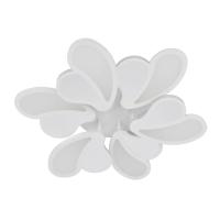 Потолочные люстры — Потолочная светодиодная люстра Seven Fires Alyano SF7038/6C-WT купить в 