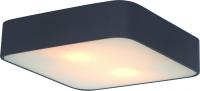 Накладные светильники — Накладной светильник ARTE Lamp A7210PL-2BK купить в  Накладные светильники — Накладной светильник ARTE Lamp A7210PL-2BK купить в