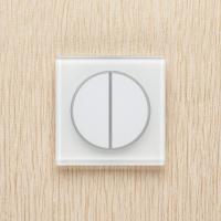 Выключатели — Выключатель Delumo T29003 купить в 