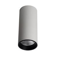 Накладные точечные светильники — Накладной светильник LeDron SLC7392/12W-WB купить в  Накладные точечные светильники — Накладной светильник LeDron SLC7392/12W-WB купить в