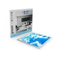 Офисные светильники — Офисный светильник Gauss 846511340 купить в #REGION_NAME_DECLINE_PP#