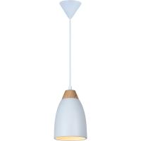 Подвесные светильники — Подвесной светильник TOPLIGHT TL0724H-2W купить в  Подвесные светильники — Подвесной светильник TOPLIGHT TL0724H-2W купить в