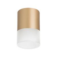 Накладные точечные светильники — Накладной светильник Lightstar R349081 купить в  Накладные точечные светильники — Накладной светильник Lightstar R349081 купить в
