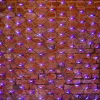 Светодиодные сети — Светодиодная сеть Neon-Night 217-133 купить в  Светодиодные сети — Светодиодная сеть Neon-Night 217-133 купить в