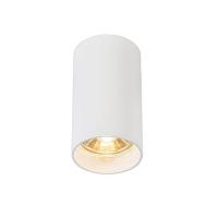 Накладные светильники — Потолочный светильник Zumaline Tuba sl 1 white 92679 купить в  Накладные светильники — Потолочный светильник Zumaline Tuba sl 1 white 92679 купить в