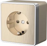 Розетки — Розетка Werkel WL15-02-02 (шампань рифленый) купить в 