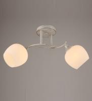 Потолочные люстры — 00748/2 белый с патиной хром купить в 