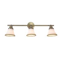 Споты — Спот Freya FR2272-CW-03-BS купить в 