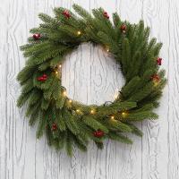 Светодиодные гирлянды — Светодиодная гирлянда Neon-Night 307-150 купить в 