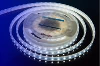 Светодиодные ленты — Лента DesignLed DSG560-12-W-65 купить в 