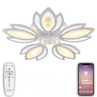 Люстры накладные — Накладная люстра Natali Kovaltseva LED LAMPS 81124 купить в  Люстры накладные — Накладная люстра Natali Kovaltseva LED LAMPS 81124 купить в