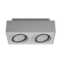 Cветильники потолочные встраиваемые — Встраиваемый светильник Zumaline Boxy cl 2 20075-WH купить в  Cветильники потолочные встраиваемые — Встраиваемый светильник Zumaline Boxy cl 2 20075-WH купить в