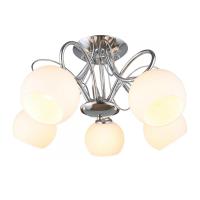 Люстры накладные — Накладная люстра Omnilux OML-24707-05 купить в 