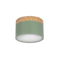 Детские точечные светильники — Детский точечный светильник LOFT IT 10162 Green купить в  Детские точечные светильники — Детский точечный светильник LOFT IT 10162 Green купить в