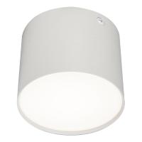 Потолочные светильники — Потолочный светодиодный светильник Escada 20004SMU/01LED SWH купить в  Потолочные светильники — Потолочный светодиодный светильник Escada 20004SMU/01LED SWH купить в