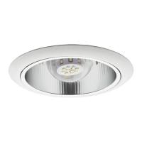 Светильники Downlight — Карданный светильник Kanlux OZON DLBS-1AV/27-W 905 купить в  Светильники Downlight — Карданный светильник Kanlux OZON DLBS-1AV/27-W 905 купить в