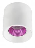 Накладные точечные светильники — Накладной светильник Denkirs DK3090-WH+PI купить в  Накладные точечные светильники — Накладной светильник Denkirs DK3090-WH+PI купить в
