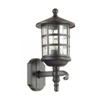 Уличные настенные светильники — Светильник настенный Odeon Light 4043/1W купить в 