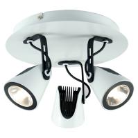 Споты — Спот Lussole LSN-4101-03 купить в  Споты — Спот Lussole LSN-4101-03 купить в